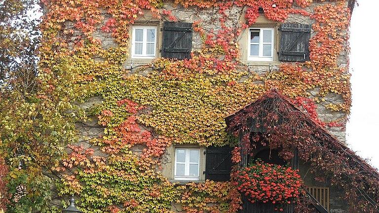 Herbst Barthels Tu       -  Im Herbst sieht der Etwashäuser Barthelsturm besonders schön aus. Seine Begrünung ist auch in Sachen Klimaschutz sinnvoll. Archiv