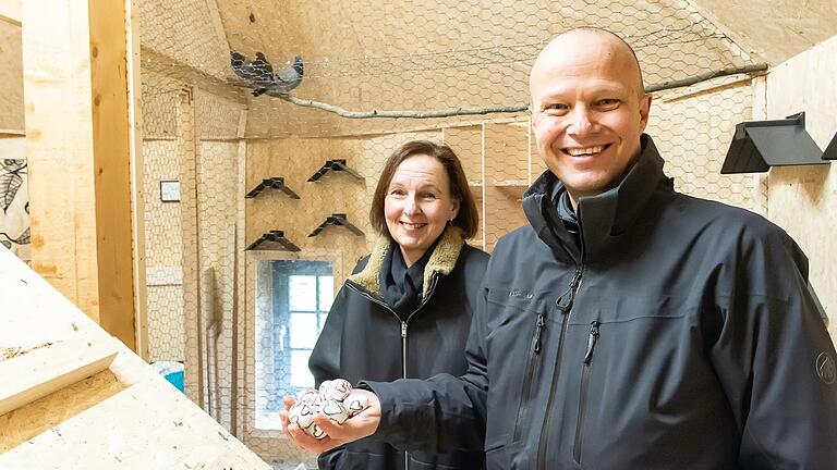 Freuen sich über den von der Stadt Schweinfurt eingerichteten Taubenschlag im Höpperles Turm: Axel Kröner von Pro Animale und Stadträtin Ulrike Schneider. Allerdings muss es nach Ansicht der Tierschützer weitere betreute Schläge in der Stadt geben. Freuen sich über den von der Stadt Schweinfurt eingerichteten Taubenschlag im Höpperles Turm: Axel Kröner von Pro Animale und Stadträtin Ulrike Schneider. Allerdings muss es nach Ansicht der Tierschützer weitere betreute Schläge in der Stadt geben.