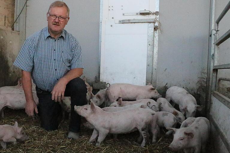 Weiß um die Sorgen seiner Kollegen: Reinhard Wolz, Kreisobmann des Bayrischen&nbsp; Bauernverbands und Schweinehalter auf dem Schwalbenhof in Marienbrunn .