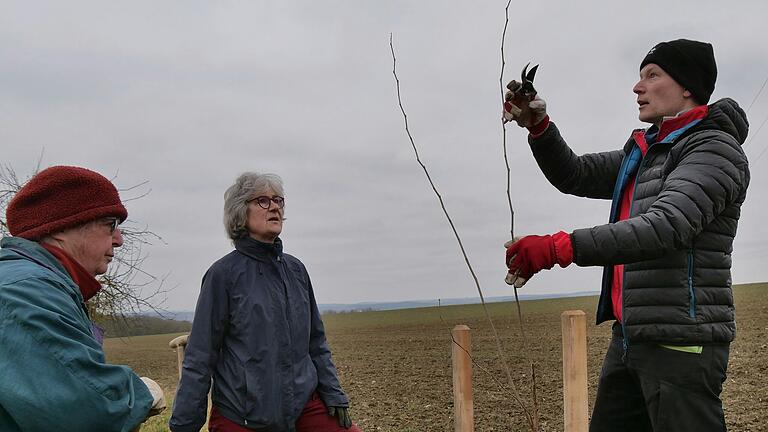 Ute Reichelt, Karin Heck und Markus Schmitt (von links) halfen bei der Pflanzaktion der Naschbäume mit und führten unter anderem den Pflanzschnitt durch. Ute Reichelt, Karin Heck und Markus Schmitt (von links) halfen bei der Pflanzaktion der Naschbäume mit und führten unter anderem den Pflanzschnitt durch.