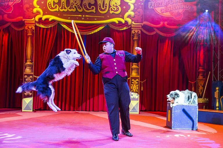 Artist Peter Taylor tritt als Postbote mit der Hunde-Show 'Crazy Dogs' auf.