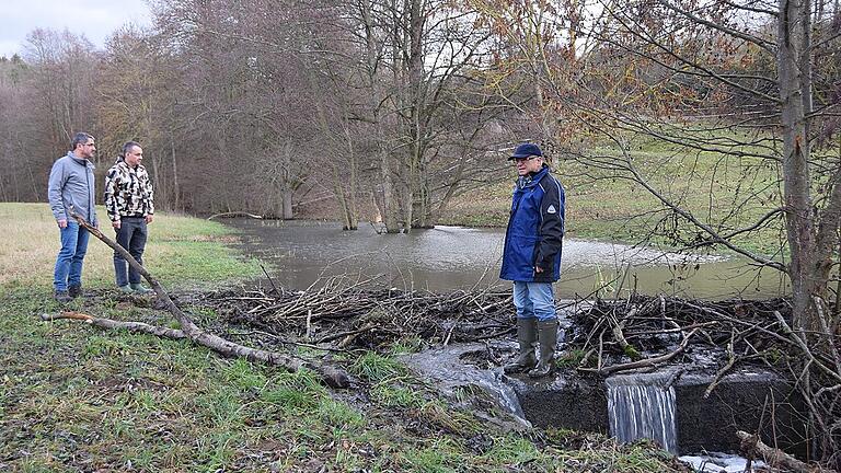 Damm an Damm reiht sich am Mahlbach bei Mühlfeld, weshalb der örtliche Angelvereinsvorsitzende Oliver Schmitt (von links) sowie Gewässerwart Frank Rittweger und Hegefischereigenossenschaftsvorsitzenden Siegfried Patermann jetzt Alarm schlagen. Damm an Damm reiht sich am Mahlbach bei Mühlfeld, weshalb der örtliche Angelvereinsvorsitzende Oliver Schmitt (von links) sowie Gewässerwart Frank Rittweger und Hegefischereigenossenschaftsvorsitzenden Siegfried Patermann jetzt Alarm schlagen.