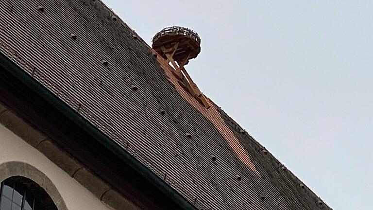 Auf der Karmelitenkirche in Bad Neustadt hat die Stadt einen Storchenhorst errichten lassen. Im Stadtrat gab es dazu eine kritische Stimme.