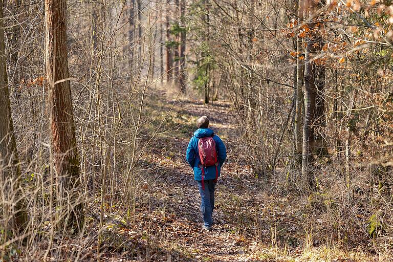Unterwegs auf der Erlebnistour 'Wasserschloss und Reuthsee': Auf naturnahen Pfaden macht das Wandern besonders Spaß. Unterwegs auf der Erlebnistour 'Wasserschloss und Reuthsee': Auf naturnahen Pfaden macht das Wandern besonders Spaß.