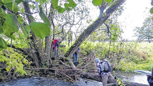 Eine Frage des Gleichgewichts: Auf den Spuren der Wildkatze durch die Rhön zu wandern, ist abenteuerlich, macht aber auch Spaß. Diese Erfahrung machten die Wanderratten auf ihrer jetzt ausgezeichneten Tour, bei der es auch die Streu zu überwinden galt.