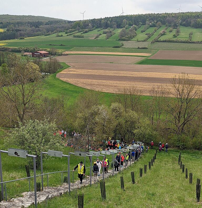 Das Jubiläumsprogramm zur Feier von 50 Jahren Landkreis Würzburg führte die Teilnehmenden unter anderem zu einer Verkostung von feinen Trüffeln und schmackhaften Weinen auf die Trüffelplantage nach Röttingen. Ein Teil des Genusses: die Aussicht von den Röttinger Weinbergen aus.