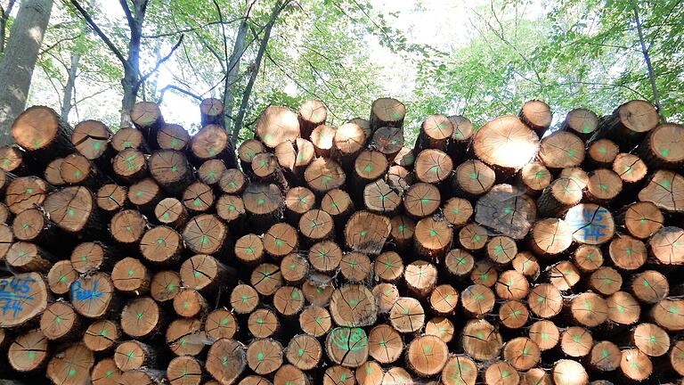 Das aus der letzten Ernte im Wald gelagerte Holz ist fast gänzlich verkauft.