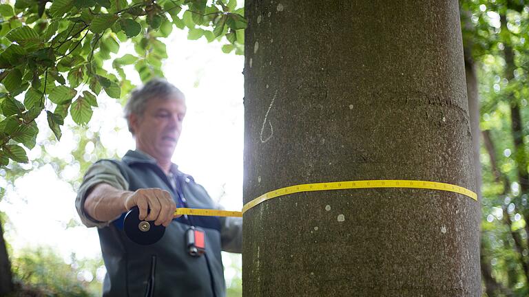 Fast täglich ist Forstrevierleiter Joachim Esslinger derzeit in Unterfranken unterwegs, um Daten für die Bundeswaldinventur zu sammeln.