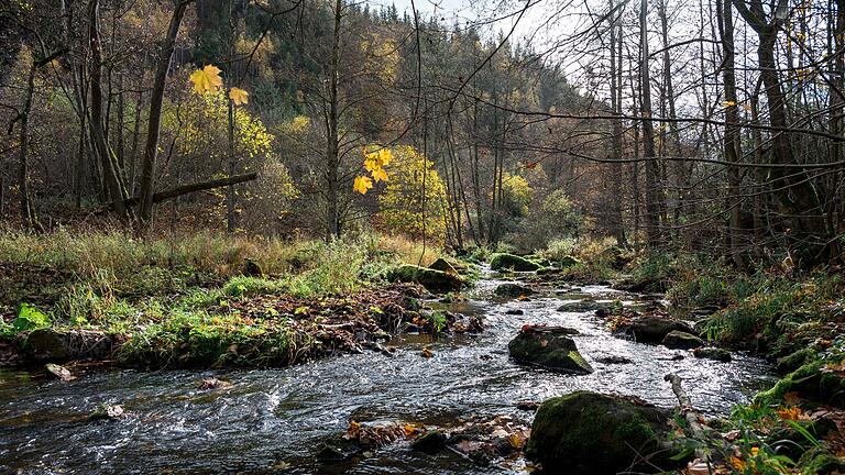 Umstrittenes Frankenwaldbrücken-Projekt       -  Das Höllental bei Lichtenberg (Landkreis Hof) ist eine beliebte Wanderregion. (Archivbild)