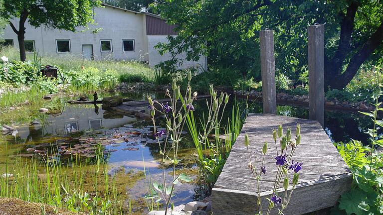 Der 'zertifizierte Naturgarten' von Marion und Michael Herbert in Motten wird am 26. Juni unter anderem zu sehen sein. - Der 'zertifizierte Naturgarten' von Marion und Michael Herbert in Motten wird am 26. Juni unter anderem zu sehen sein. Der 'zertifizierte Naturgarten' von Marion und Michael Herbert in Motten wird am 26. Juni unter anderem zu sehen sein. - Der 'zertifizierte Naturgarten' von Marion und Michael Herbert in Motten wird am 26. Juni unter anderem zu sehen sein.