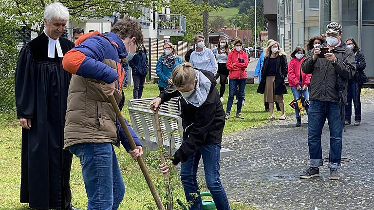 Pfarrer Töpfer pflanzt mit Konfirmanden zur 125-jährigen Kirchweih einen Liquidambar orientalis, so wie er mehrfach in der Bibel vorkommt.