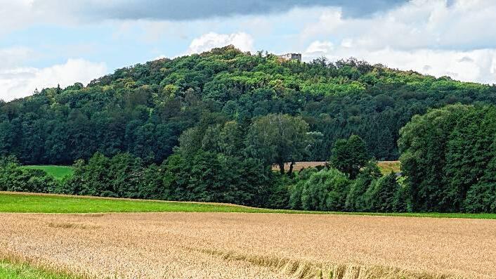 Neuer Zerstörung ausgesetzt war in der jüngeren Vergangenheit der Burgberg. Der massive Basaltabbau hat auch die Reste der Burg beschädigt. Neuer Zerstörung ausgesetzt war in der jüngeren Vergangenheit der Burgberg. Der massive Basaltabbau hat auch die Reste der Burg beschädigt.