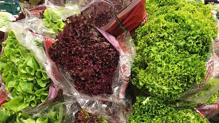 Ein heftiger Meinungsstreit um die geplante Salatzucht herrscht derzeit in Wiesentheid. Ein heftiger Meinungsstreit um die geplante Salatzucht herrscht derzeit in Wiesentheid.