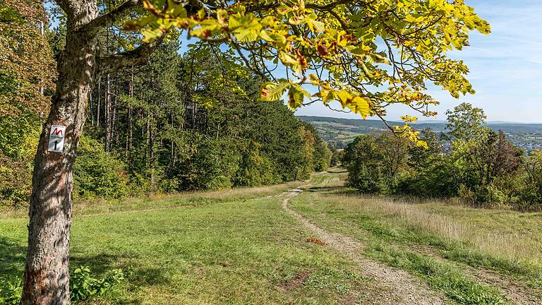 Die Extratour Michelsberg führt durch wunderbare Natur rund um Münnerstadt. Die Extratour Michelsberg führt durch wunderbare Natur rund um Münnerstadt.