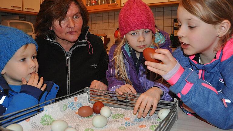 Blanka Kettler und ihre Enkelkinder Maximilian, Patrizia und Antonia beim Vorbereiten der Eier. Noch ein paar Augenblicke und dann wandern die Eier verschiedener Geflügelrassen in den Brutautomaten.