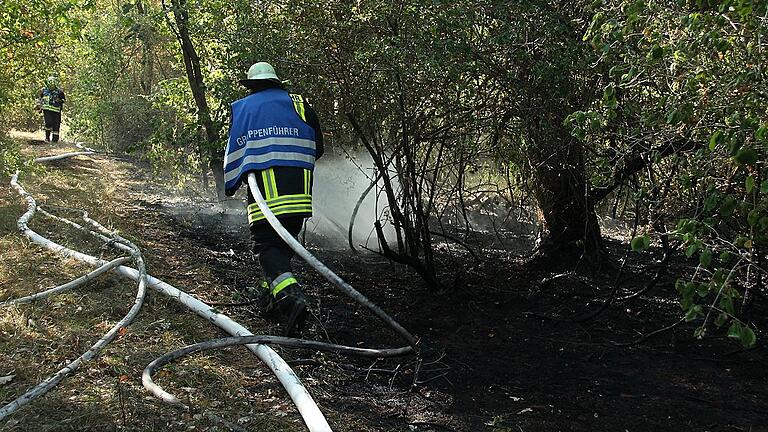 Stark verbuscht ist der verlichtete Kiefernbestand in der Steinfelder Flurabteilung &bdquo;Pfaffenrain&ldquo;, in dem die Feuerwehren am Montagmorgen das Feuer löschten.