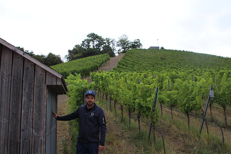 Winzer Florian Loos vom gleichnamigen Weingut in Dingolshausen (Lkr. Schweinfurt) im Weinberg.