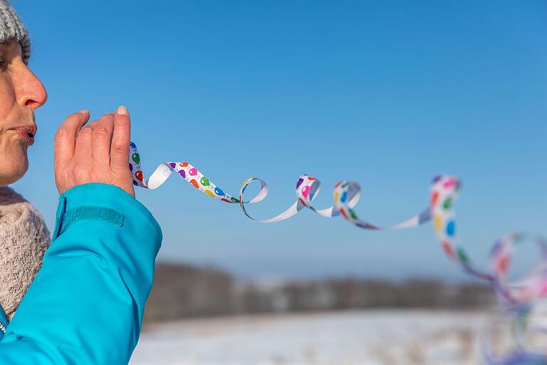 Veitshöchheim ist Fastnachtshochburg: Der Wanderweg ist aber nicht nur zum Fasching, sondern das ganze Jahr da! Veitshöchheim ist Fastnachtshochburg: Der Wanderweg ist aber nicht nur zum Fasching, sondern das ganze Jahr da!