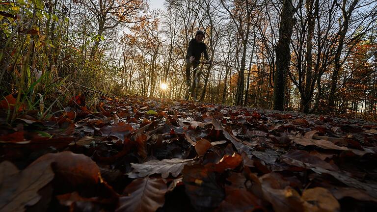 Auf dem Rad durch den Herbstwald bei Gramschatz im Landkreis Würzburg: Wenn sich die tiefstehende Sonne in den Baumkronen bricht, geht jedem Radfahrer das Herz auf. Auf dem Rad durch den Herbstwald bei Gramschatz im Landkreis Würzburg: Wenn sich die tiefstehende Sonne in den Baumkronen bricht, geht jedem Radfahrer das Herz auf.