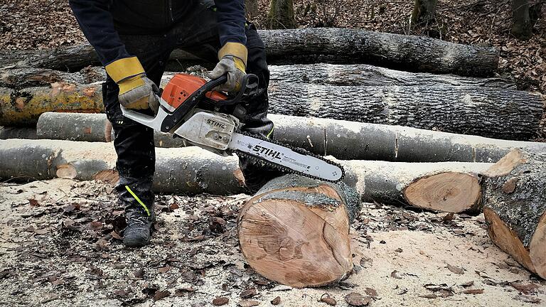 Laut Forstbetriebsplan schreibt der Gemeindewald Nordheim auch 2024 schwarze Zahlen. 2500 Festmeter sollen eingeschlagen werden. Laut Forstbetriebsplan schreibt der Gemeindewald Nordheim auch 2024 schwarze Zahlen. 2500 Festmeter sollen eingeschlagen werden.