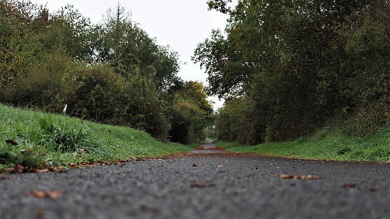 Auf diesem schlecht einsehbaren Radweg in Bad Neustadt kam es zu dem gewaltsamen Tod von Josef D..