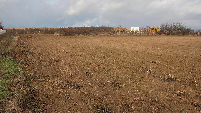 Im Herbst 2017 wurden die Planungen für das Baugebiet Am Sand West in Rottendorf gestoppt. Grund war ein streng geschütztes Tier, für das nun Ausgleichsflächen gefunden wurden.