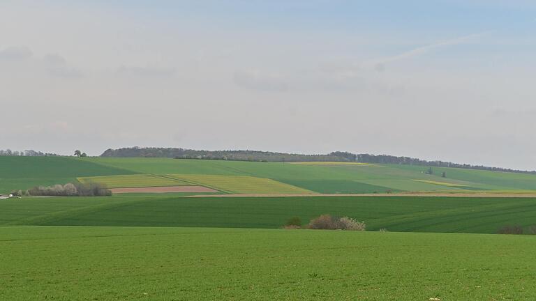 Bis zum Waldrand am Horizont und links davon erstreckt sich das geplante unterirdische Abbaugebiet der Firma Knauf in Altertheim.