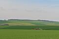 Bis zum Waldrand am Horizont und links davon erstreckt sich das geplante unterirdische Abbaugebiet der Firma Knauf in Altertheim.