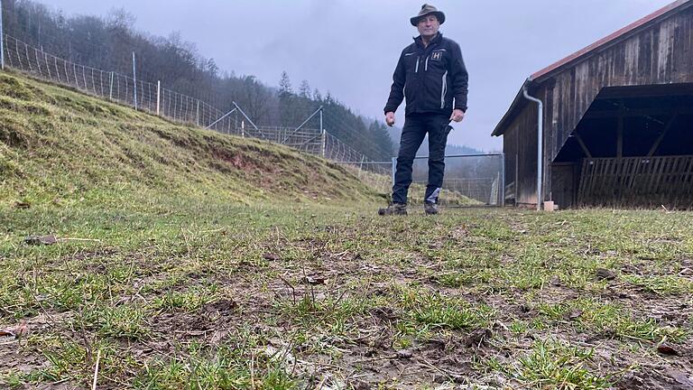 Im Damwildgehege von Norbert Hutzelmann in Gräfendorf hat mutmaßlich zweimal der Wolf zugeschlagen. Hier sieht man Haare eines der getöteten Hirschkälber. Im Damwildgehege von Norbert Hutzelmann in Gräfendorf hat mutmaßlich zweimal der Wolf zugeschlagen. Hier sieht man Haare eines der getöteten Hirschkälber.