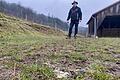 Im Damwildgehege von Norbert Hutzelmann in Gräfendorf hat mutmaßlich zweimal der Wolf zugeschlagen. Hier sieht man Haare eines der getöteten Hirschkälber.