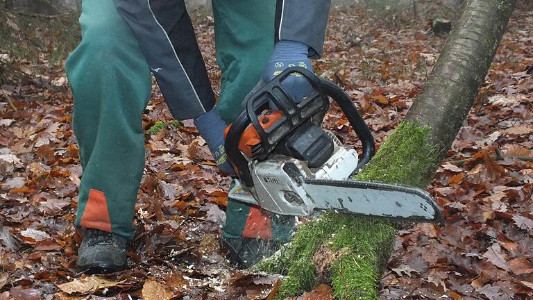 Holzpreise gekappt: Verlust im Bad Bockleter Forstbetrieb erwartet