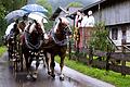 Traditioneller Rosstag von Rottach-Egern       -  Regenschirme wurden beim diesjährigen Rosstag benötigt.