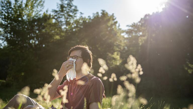 Ein Mann putzt sich die Nase - Wenn die Natur zur Qual wird: Pollen schränken viele Allergiker stark im Alltag ein. Ein Mann putzt sich die Nase - Wenn die Natur zur Qual wird: Pollen schränken viele Allergiker stark im Alltag ein.