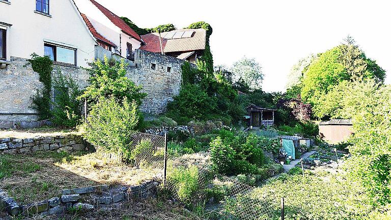 Viele der verpachteten Kleingärten an der Stadtmauer befinden sich im Besitz der Stadt. Sie könnten in die Neugestaltung des großflächig als Loose-Areal bezeichneten Bereichs von der Innenstadt bis zum Bahnhof einbezogen werden.