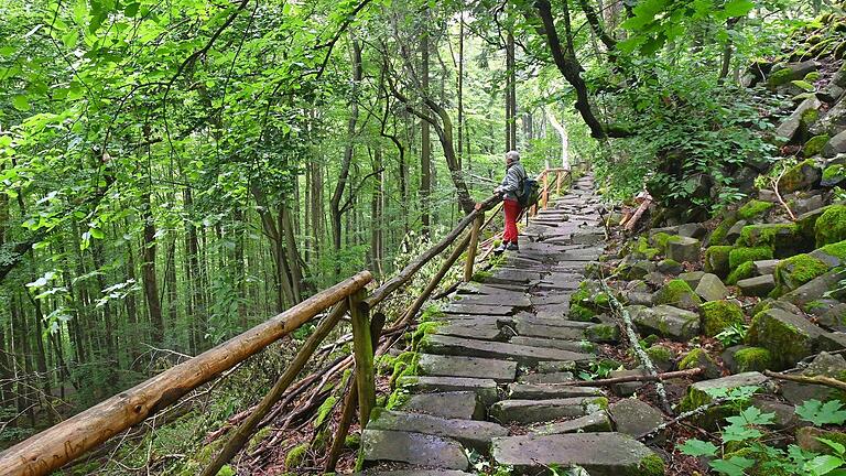 Am länderübergreifenden Kernzonentag,&nbsp; 6. Oktober, bieten die Ranger der Bayerischen Verwaltungsstelle des Biosphärenreservats um 10 eine Führung durch die Kernzone.