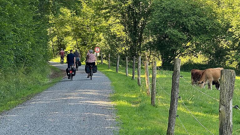 Schotter und Schatten: Der Radweg zwischen Uettingen und Holzkirchen ist zwar nicht asphaltiert, verläuft dafür nicht in der prallen Sonne.