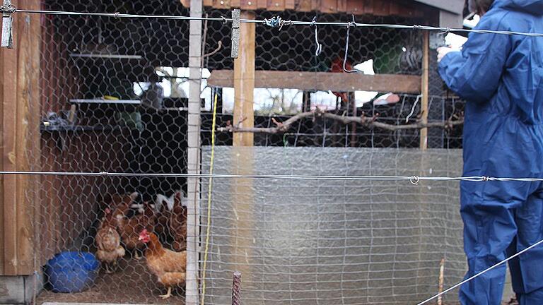 Geflügelpest-Alarm: Im Sperrbezirk in Schwarzach setzt das Kitzinger Veterinäramt auf Kontrollen. Geflügelpest-Alarm: Im Sperrbezirk in Schwarzach setzt das Kitzinger Veterinäramt auf Kontrollen.