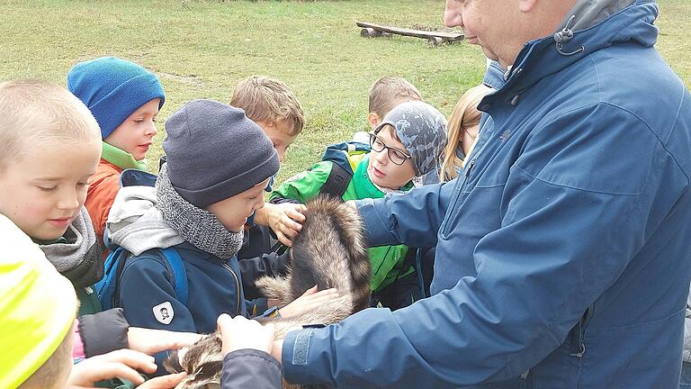 'Waldtiere' zum Anfassen.