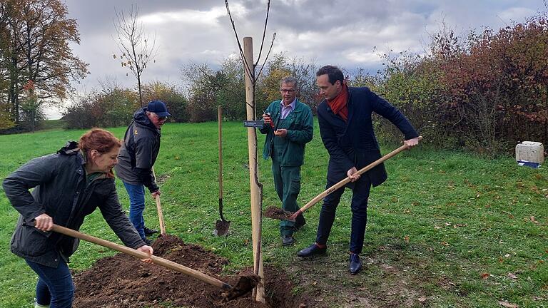 Die erste von 50 Jubiläumskirschen wurde bei Brebersdorf (Gemeinde Wasserlosen) von Kreisfachberaterin Brigitte Goss, Baumschulmeister Alfons Weiglein, Landkreisgärtner Peter Zeißner und Landrat Florian Töpper (von links) gepflanzt.