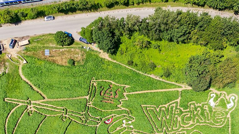 Fertigstellung Uttinger Labyrinthfeld       -  Feld-Labyrinth zeigt Wikingerschiff