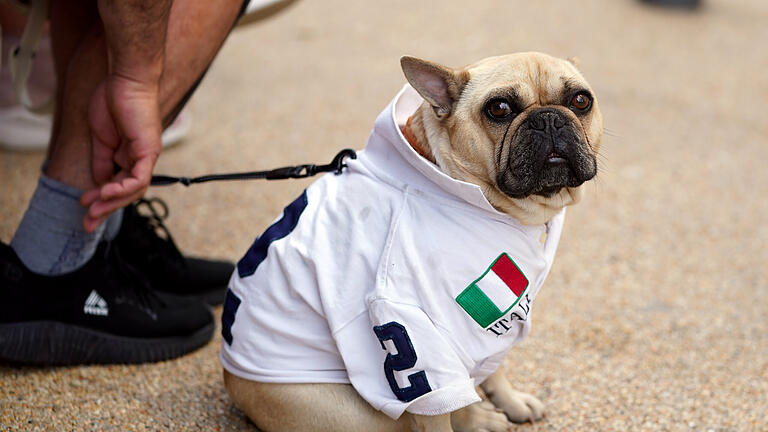 Hund Italien.jpeg       -  Mit dem Hund nach Bella Italia. Beim Urlaub am Gardasee sollten Hundebesitzer einige Tipps beachten.