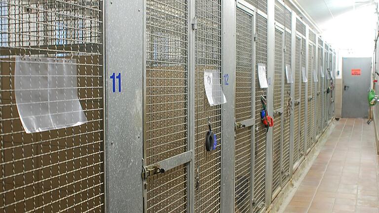 Neuer Standort – oder doch am angestammten Platz bleiben? Für das Kitzinger Tierheim gibt es inzwischen einige Alternativen. Archiv- Neuer Standort – oder doch am angestammten Platz bleiben? Für das Kitzinger Tierheim gibt es inzwischen einige Alternativen. Archiv-
