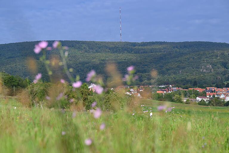 Da ist er: Der erste Blick auf das erklärte Ziel, den Kreuzberg mit seinem charakteristischen Sendemast. Da ist er: Der erste Blick auf das erklärte Ziel, den Kreuzberg mit seinem charakteristischen Sendemast.