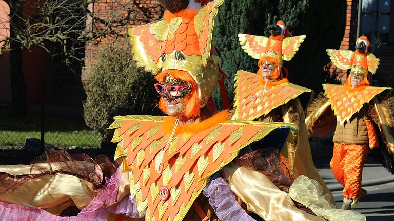 Jede Menge einzigartige Kostüme bot der kleine Rosenmontagsumzug in Burgsinn. Jede Menge einzigartige Kostüme bot der kleine Rosenmontagsumzug in Burgsinn.