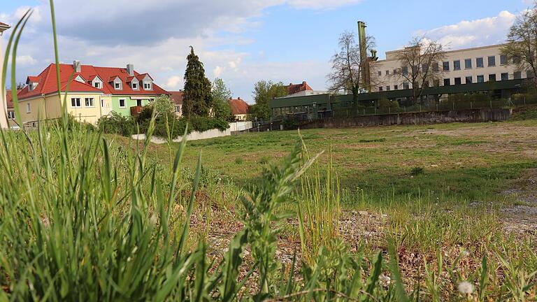 Auf diesem Gelände in der Kitzinger Kanzler-Stürtzel-Straße plant das Würzburger Blindeninstitut den Neubau einer Wohn- und Förderstätte. Doch bis es losgeht, kann noch viel Gras wachsen. Auf diesem Gelände in der Kitzinger Kanzler-Stürtzel-Straße plant das Würzburger Blindeninstitut den Neubau einer Wohn- und Förderstätte. Doch bis es losgeht, kann noch viel Gras wachsen.