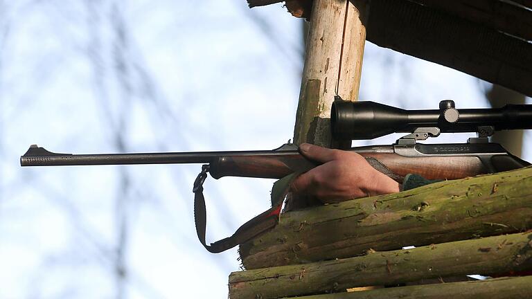 Im Staatswald soll ab kommendem Jahr nur noch mit bleifreier Munition geschossen werden. Während Naturschützer auf ein landesweites Verbot drängen, haben Jäger noch Bedenken.