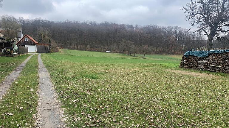 Auf diesen Wiesen am nordöstlichen Rand von Kleinwenkheim könnte ein neues Baugebiet entstehen.       -  Auf diesen Wiesen am nordöstlichen Rand von Kleinwenkheim könnte ein neues Baugebiet entstehen.