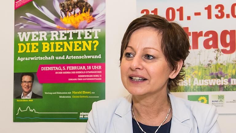 Warum Bienen retten? Grünen-Landeschefin Sigi Hagl erklärt es beim Interview im Würzburger Grünen-Büro. Warum Bienen retten? Grünen-Landeschefin Sigi Hagl erklärt es beim Interview im Würzburger Grünen-Büro.