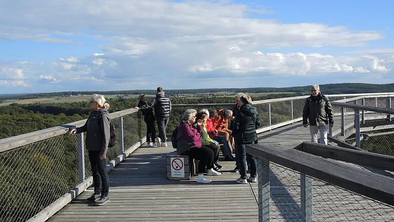 Auf dem Aussichtsturm des Baumwipfelpfads hatte man einen tollen Rundumblick auf die waldreiche Landschaft des Steigerwalds.