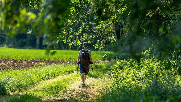 Einfach mal abschalten und den Alltag hinter sich lassen: 8 besondere Wanderrouten im Raum Schweinfurt machen es möglich.